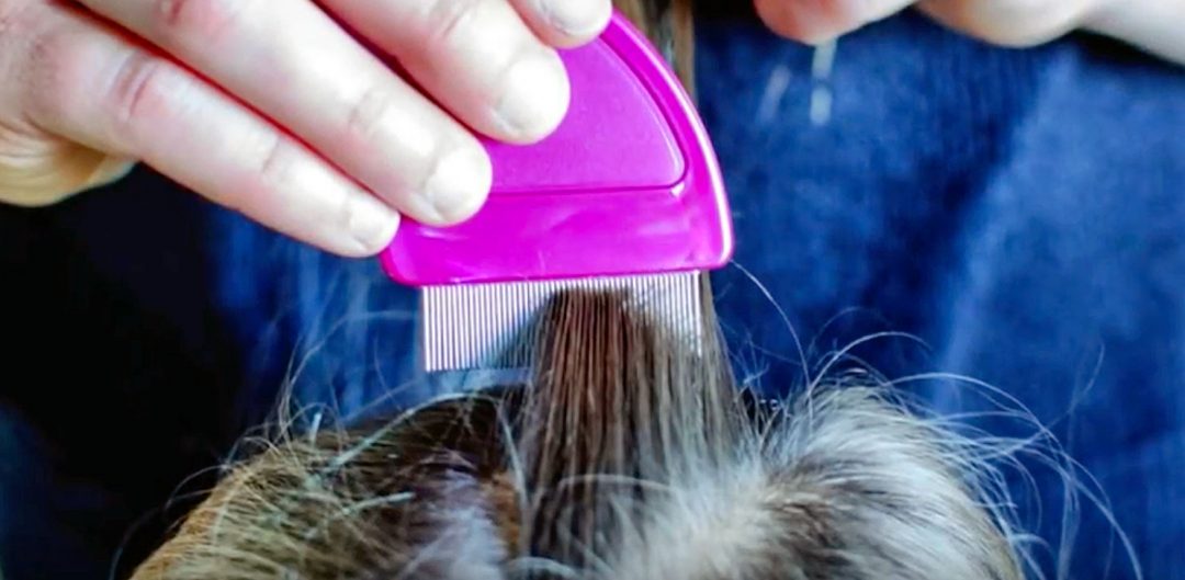lice super strain lice super strain