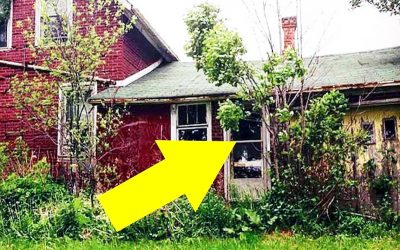 Photographer Discovers a Hidden Home In The Woods But Opens The Door and Sees The UNTHINKABLE!