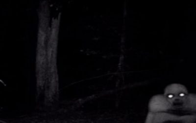 He Setup A Trail Cam To Catch Poachers On His Land But He Was Terrified By What The Camera Caught