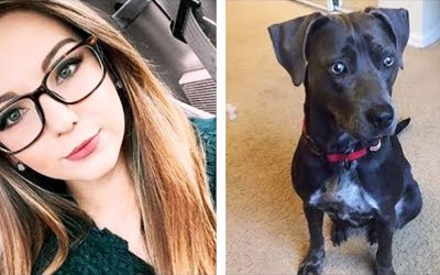 THIS Student Begs Her Teacher To Allow Her Dog To Come To Class! The Teacher’s Response Breaks The Internet!
