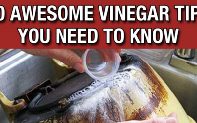 10 Awesome Vinegar Life Hacks Everyone Should Know.