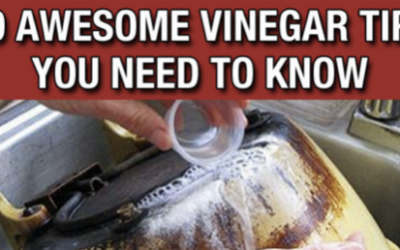 10 Awesome Vinegar Life Hacks Everybody Should Know.