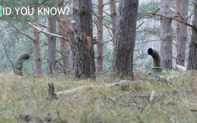 Two Men Stumble Upon These Pipes Protruding From The Ground